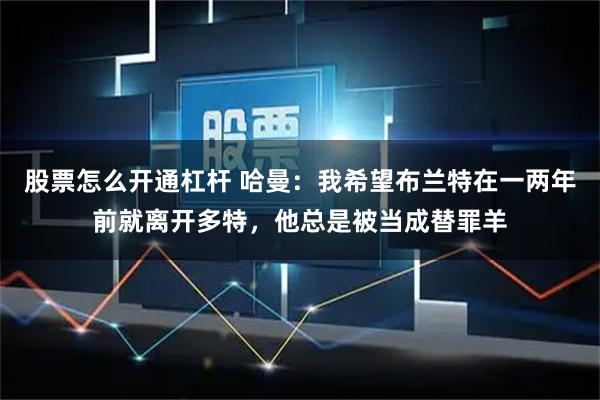 股票怎么开通杠杆 哈曼：我希望布兰特在一两年前就离开多特，他总是被当成替罪羊