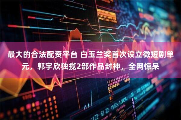 最大的合法配资平台 白玉兰奖首次设立微短剧单元，郭宇欣独揽2部作品封神，全网惊呆